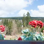 Zum Wildbach *