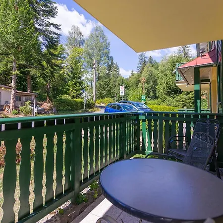 Apartment Zum Wildbach Schierke