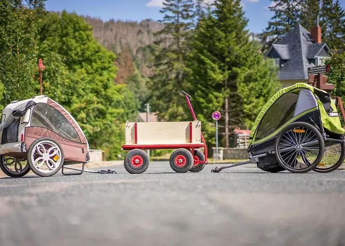 Zum Wildbach Apartment Schierke