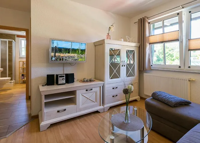 Zum Wildbach Apartment Schierke