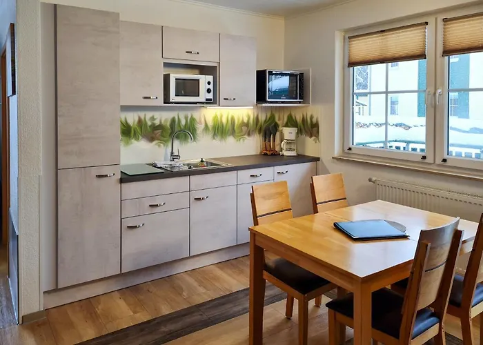 Zum Wildbach Apartment Schierke