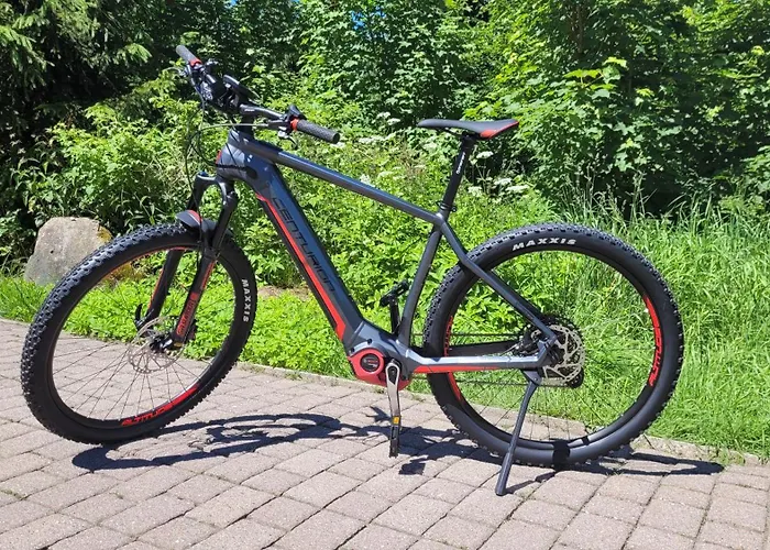 Apartment Zum Wildbach *